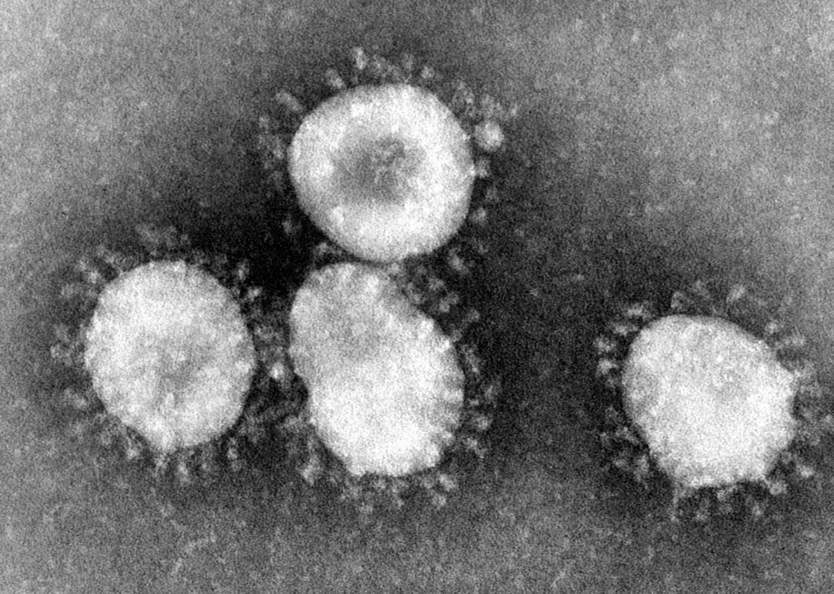 Emergencia De Un Nuevo Coronavirus 2019 Ncov Comite Asesor De