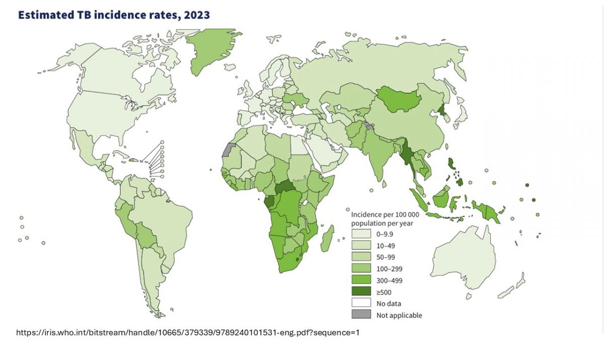 Tuberculosis continues to turn years. Part 1