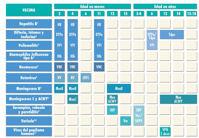 7 Calendarios De Vacunacion En Espana Comite Asesor De Vacunas De La Aep